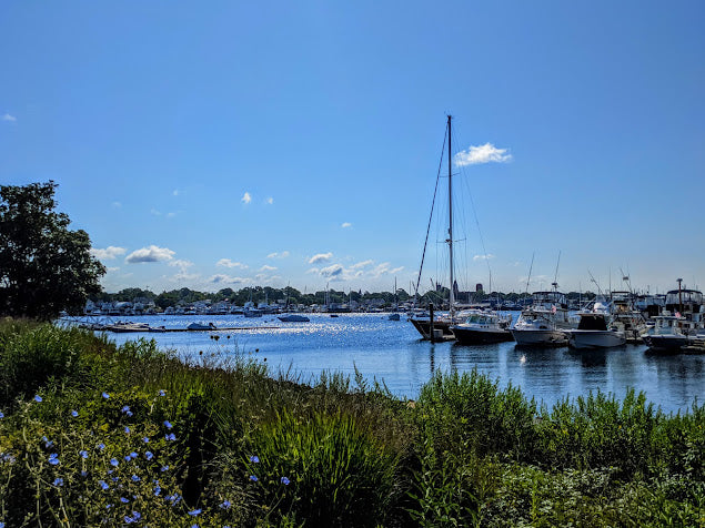 Marina with Boats