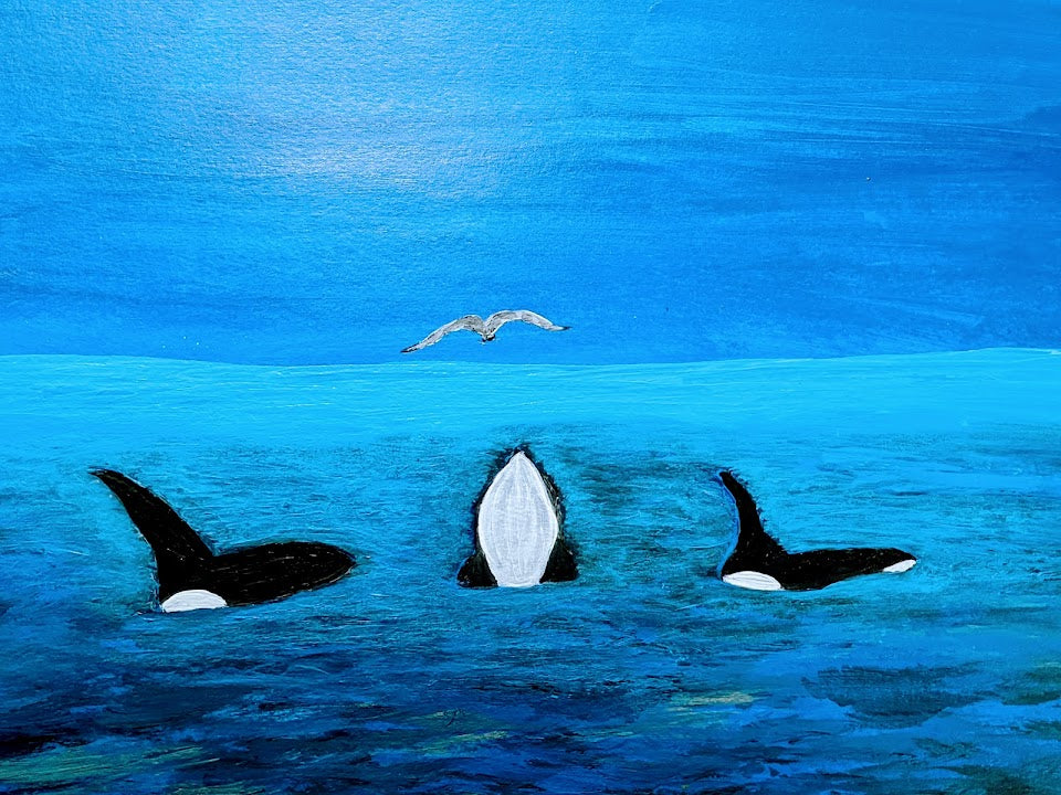 Trio of Orcas